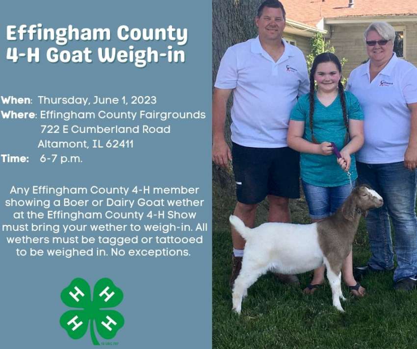 2023 Effingham County Goat Weigh in 850