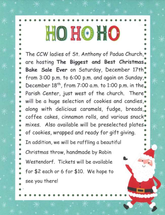 st a Christmas cookies 2022 850