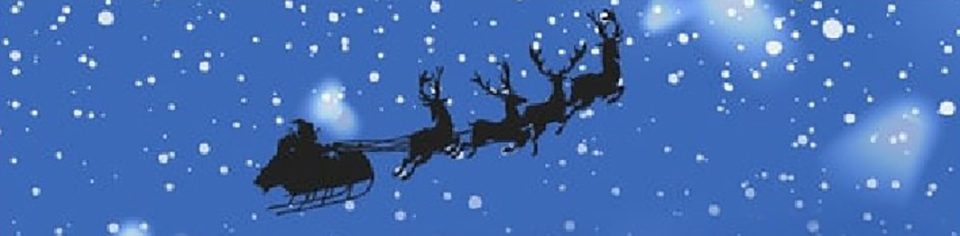 illustration of Santa and his sleigh in the wintry night sky